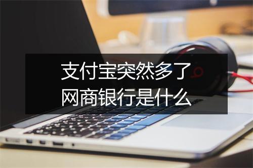 支付宝突然多了网商银行是什么