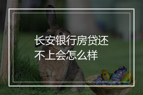 长安银行房贷还不上会怎么样