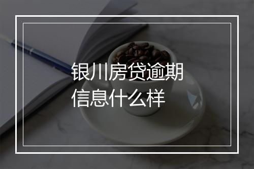 银川房贷逾期信息什么样