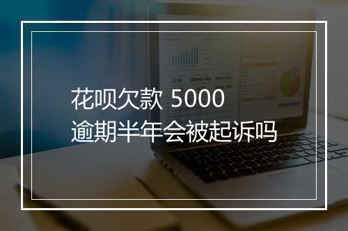 花呗欠款 5000 逾期半年会被起诉吗