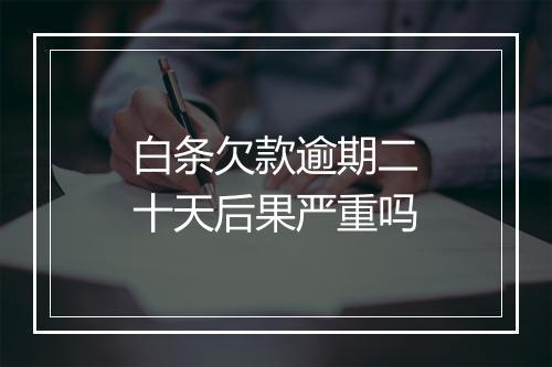白条欠款逾期二十天后果严重吗