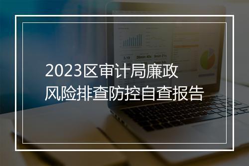 2023区审计局廉政风险排查防控自查报告