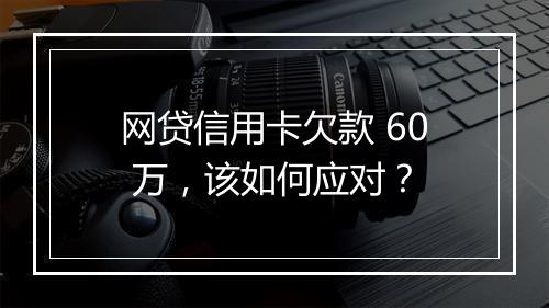 网贷信用卡欠款 60 万，该如何应对？