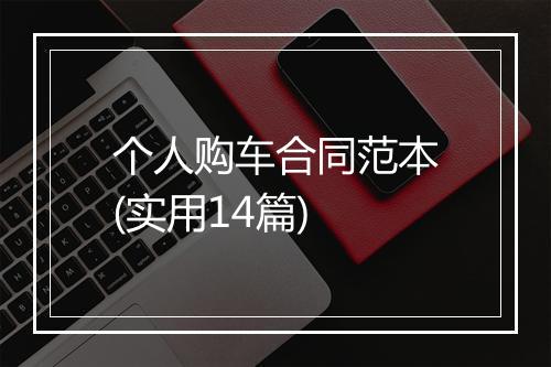个人购车合同范本(实用14篇)