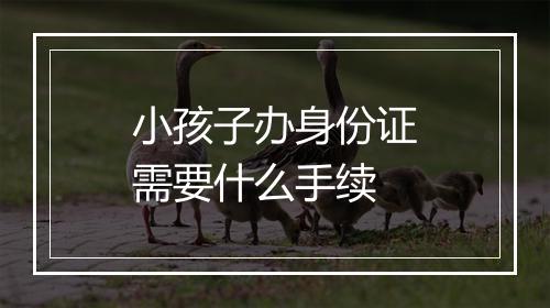 小孩子办身份证需要什么手续
