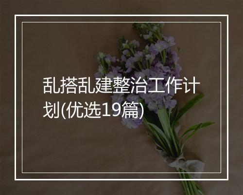 乱搭乱建整治工作计划(优选19篇)
