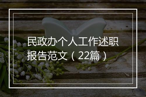 民政办个人工作述职报告范文（22篇）