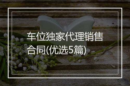 车位独家代理销售合同(优选5篇)