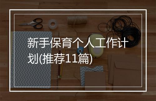 新手保育个人工作计划(推荐11篇)