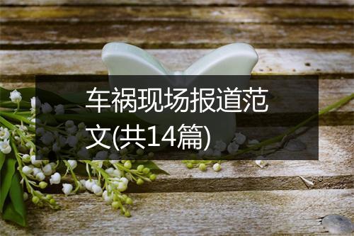 车祸现场报道范文(共14篇)