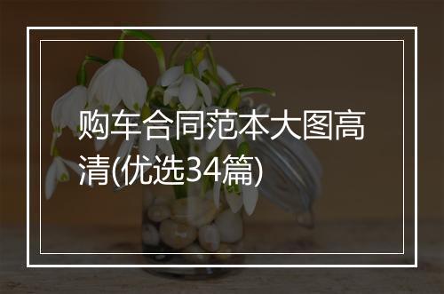 购车合同范本大图高清(优选34篇)