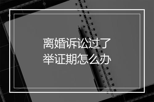 离婚诉讼过了举证期怎么办