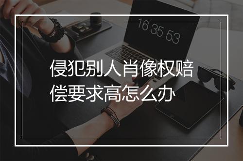 侵犯别人肖像权赔偿要求高怎么办