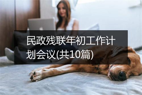 民政残联年初工作计划会议(共10篇)