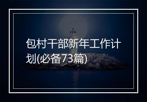 包村干部新年工作计划(必备73篇)
