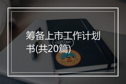 筹备上市工作计划书(共20篇)