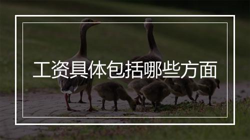 工资具体包括哪些方面