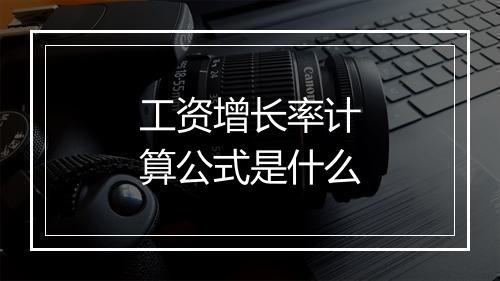工资增长率计算公式是什么