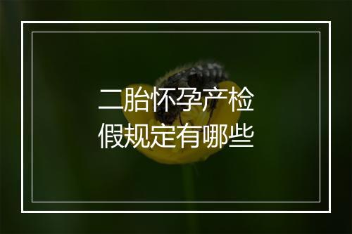 二胎怀孕产检假规定有哪些