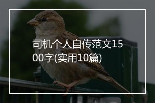 司机个人自传范文1500字(实用10篇)