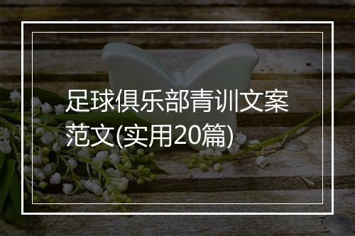 足球俱乐部青训文案范文(实用20篇)