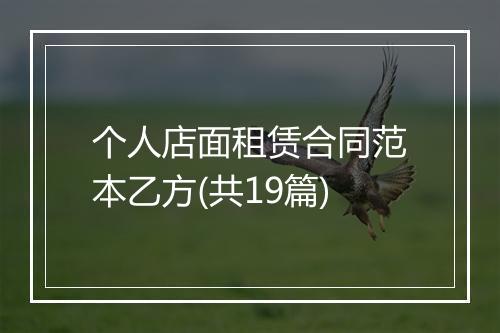 个人店面租赁合同范本乙方(共19篇)
