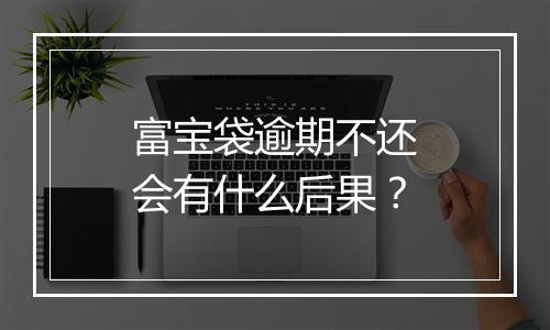 富宝袋逾期不还会有什么后果？