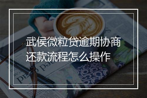 武侯微粒贷逾期协商还款流程怎么操作