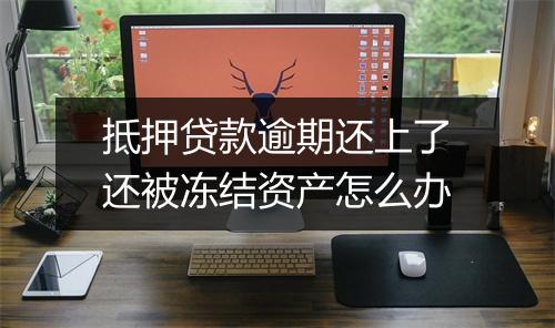 抵押贷款逾期还上了还被冻结资产怎么办