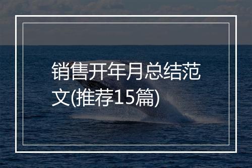 销售开年月总结范文(推荐15篇)