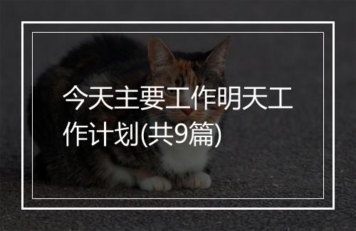 今天主要工作明天工作计划(共9篇)