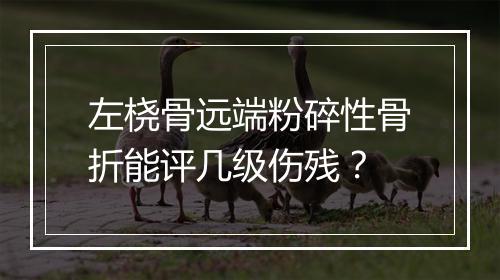 左桡骨远端粉碎性骨折能评几级伤残？