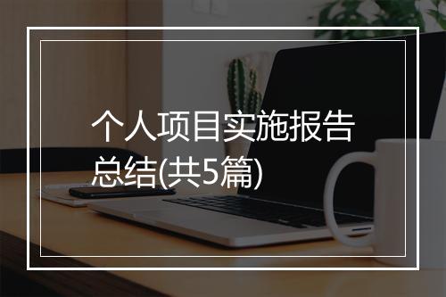 个人项目实施报告总结(共5篇)
