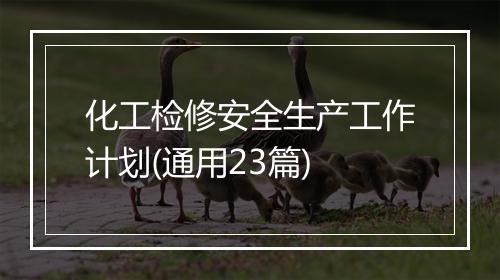 化工检修安全生产工作计划(通用23篇)