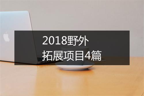 2018野外拓展项目4篇