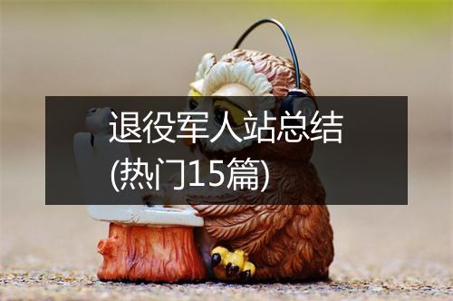 退役军人站总结(热门15篇)