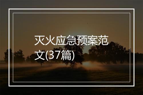 灭火应急预案范文(37篇)