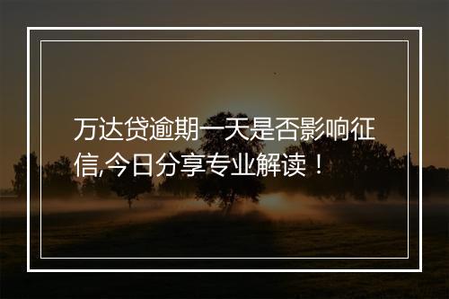 万达贷逾期一天是否影响征信,今日分享专业解读！