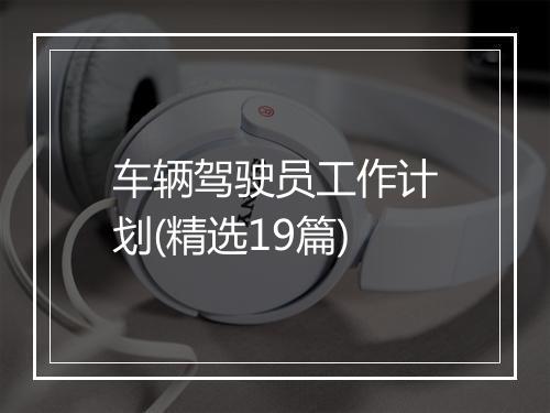 车辆驾驶员工作计划(精选19篇)