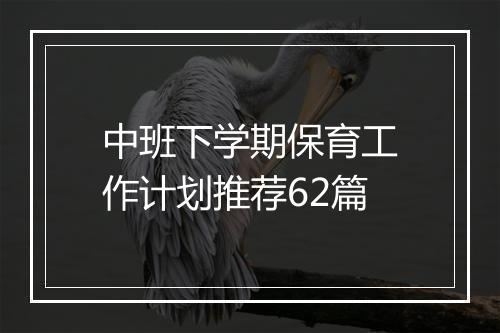 中班下学期保育工作计划推荐62篇