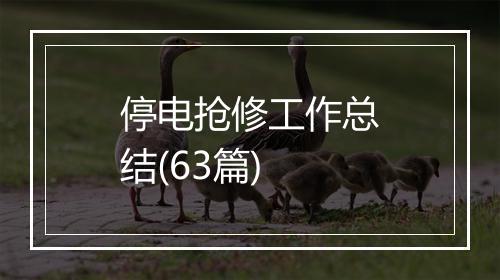 停电抢修工作总结(63篇)
