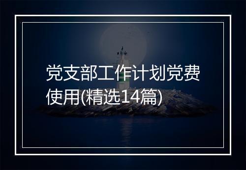 党支部工作计划党费使用(精选14篇)