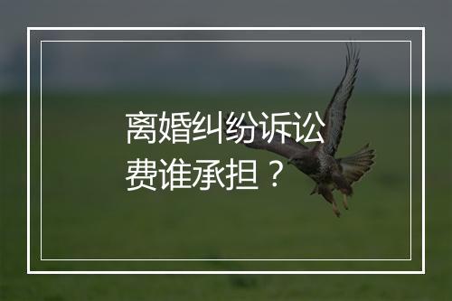 离婚纠纷诉讼费谁承担？