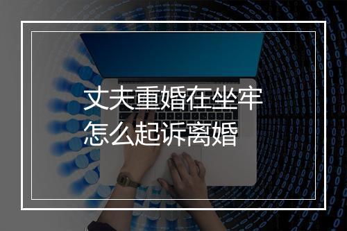 丈夫重婚在坐牢怎么起诉离婚