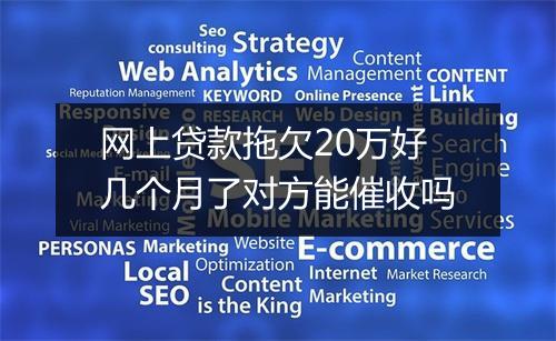 网上贷款拖欠20万好几个月了对方能催收吗