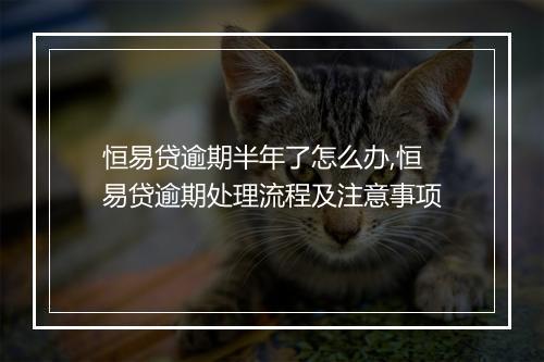 恒易贷逾期半年了怎么办,恒易贷逾期处理流程及注意事项