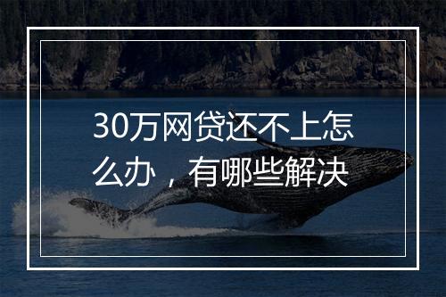 30万网贷还不上怎么办，有哪些解决