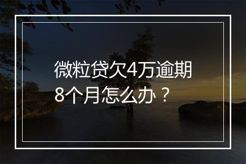 微粒贷欠4万逾期8个月怎么办？