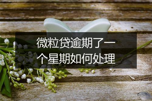 微粒贷逾期了一个星期如何处理