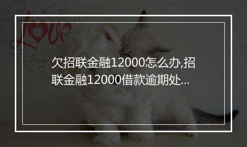 欠招联金融12000怎么办,招联金融12000借款逾期处理